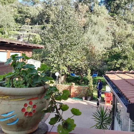 Sweet Casa Vacanza Homestay